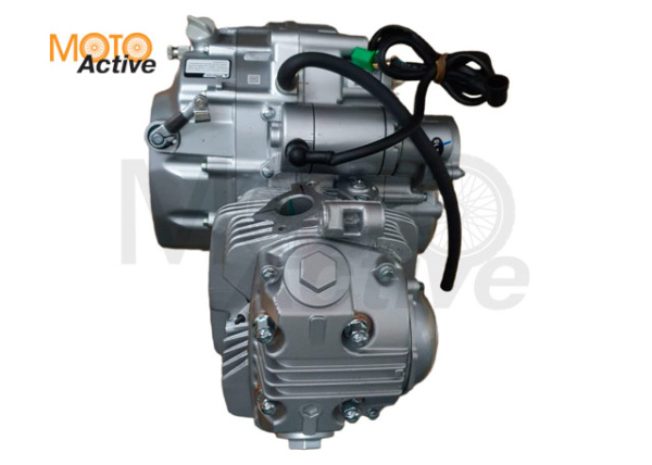 Двигатель 250см3 в сборе ZS 165FMM (CB250D-G) 223см3, возд. охл., электростартер